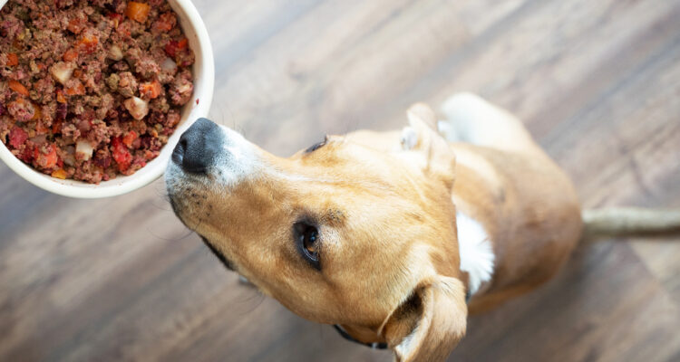 Dobra karma - jak wybrać